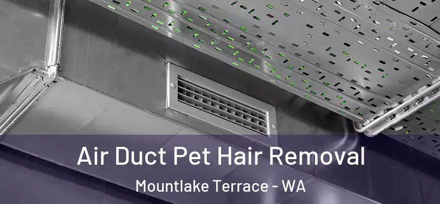 Air Duct Pet Hair Removal Mountlake Terrace - WA