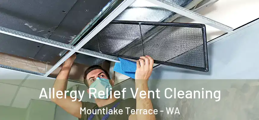 Allergy Relief Vent Cleaning Mountlake Terrace - WA