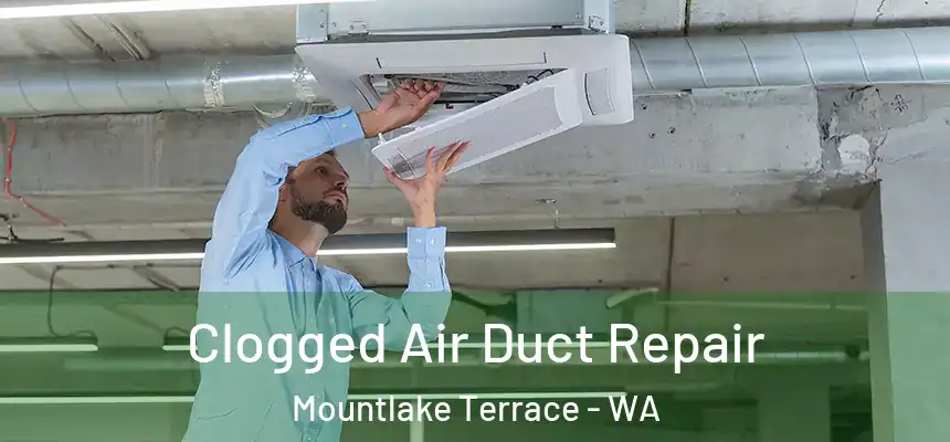 Clogged Air Duct Repair Mountlake Terrace - WA