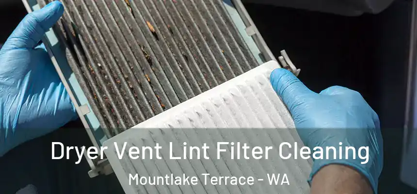  Dryer Vent Lint Filter Cleaning Mountlake Terrace - WA