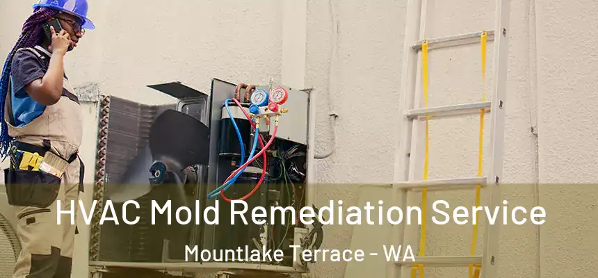  HVAC Mold Remediation Service Mountlake Terrace - WA