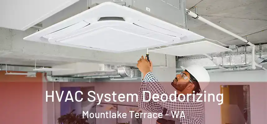 HVAC System Deodorizing Mountlake Terrace - WA