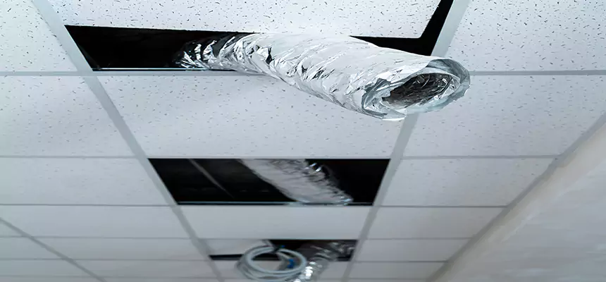 Our Air Duct Pet Hair Removal Services in Mountlake Terrace, WA