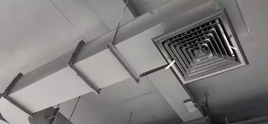 Restorative Allergy Relief Vent Cleaning – Coil, Blower & Housing Detail in Mountlake Terrace