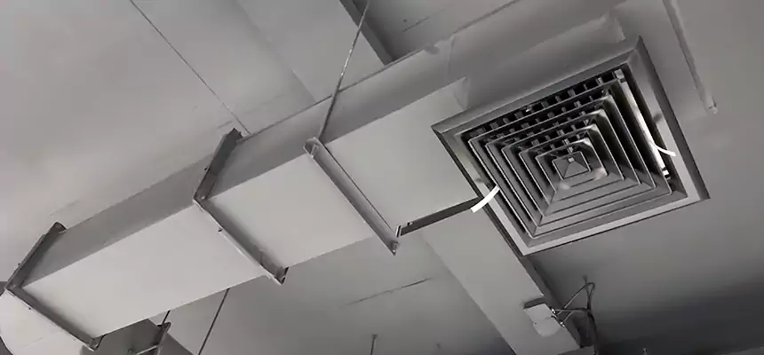 Our Pest Removal From Ducts Services in Mountlake Terrace, WA