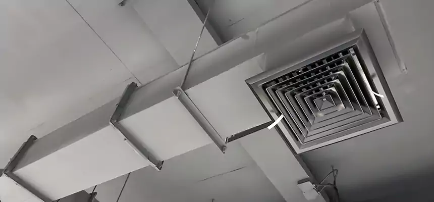 Our Rodent Droppings In Vents Services in Mountlake Terrace, WA