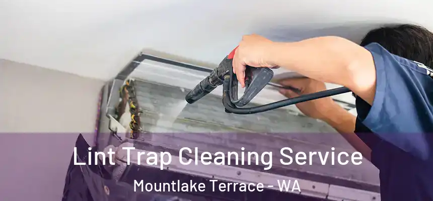 Lint Trap Cleaning Service Mountlake Terrace - WA