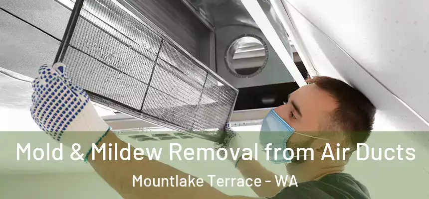 Mold & Mildew Removal from Air Ducts Mountlake Terrace - WA