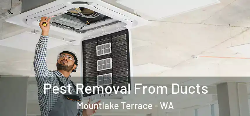 Pest Removal From Ducts Mountlake Terrace - WA