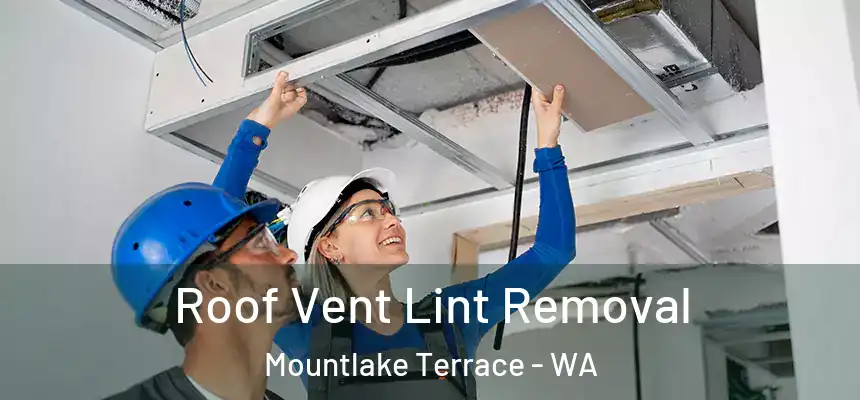  Roof Vent Lint Removal Mountlake Terrace - WA