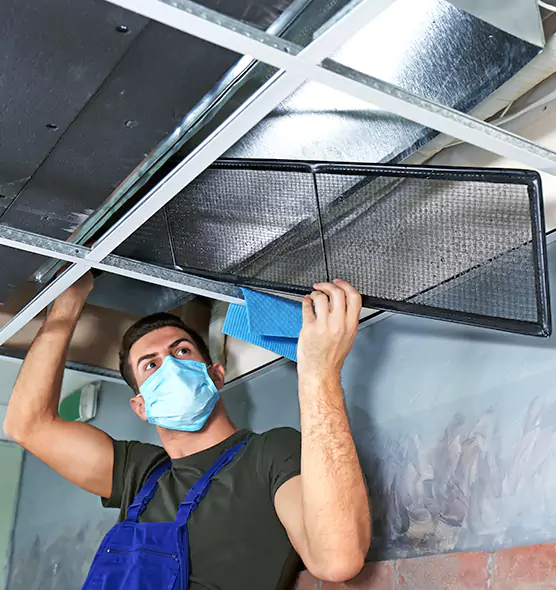 About Air Duct Bacteria Removal in Mountlake Terrace