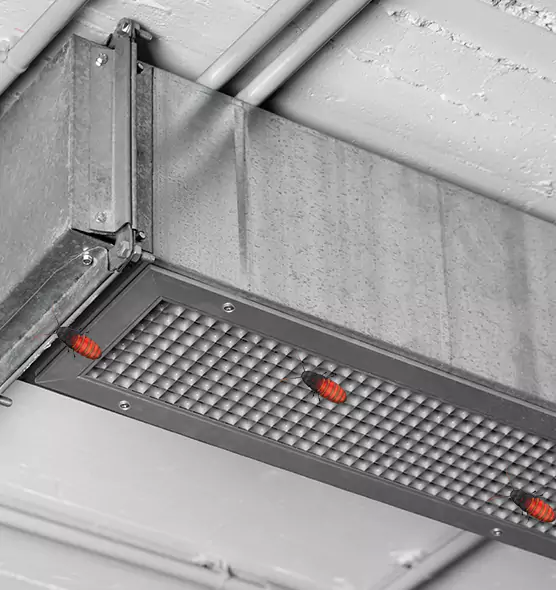About Air Duct Cockroach Removal in Mountlake Terrace, WA