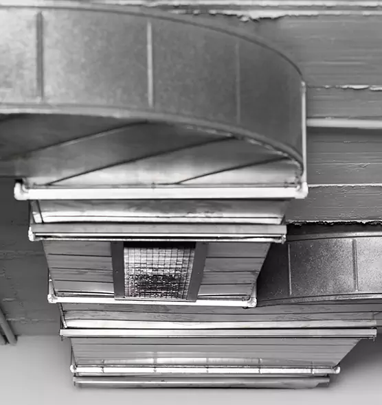 Professional Air Duct Pet Hair Removal in Mountlake Terrace, WA