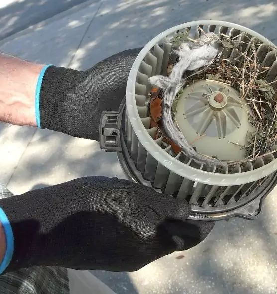 About Air Duct Rat Removal in Mountlake Terrace, WA