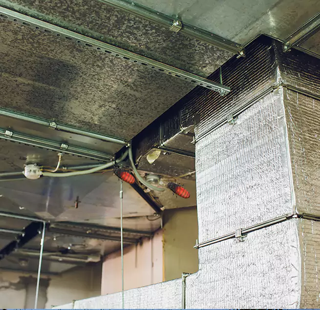 Why Homeowners & Businesses Trust Us in Mountlake Terrace, WA?