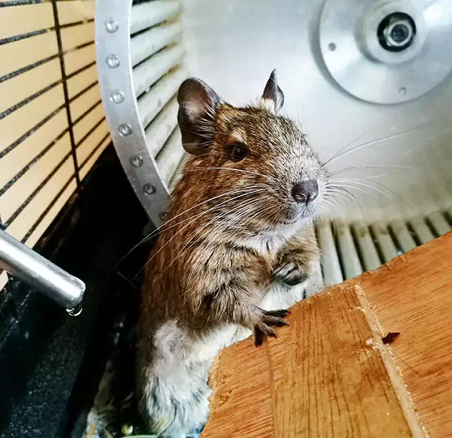 Why Homeowners & Businesses Trust Us Mountlake Terrace, WA