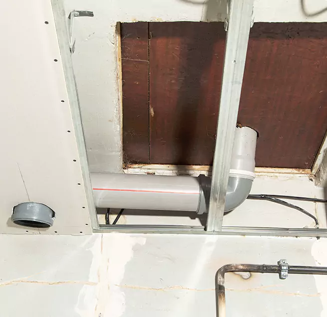 Why Homeowners & Businesses Trust Us in Mountlake Terrace, WA?