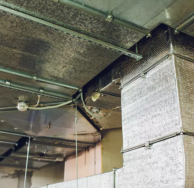 Why Homeowners & Businesses Trust Us in Mountlake Terrace, WA?